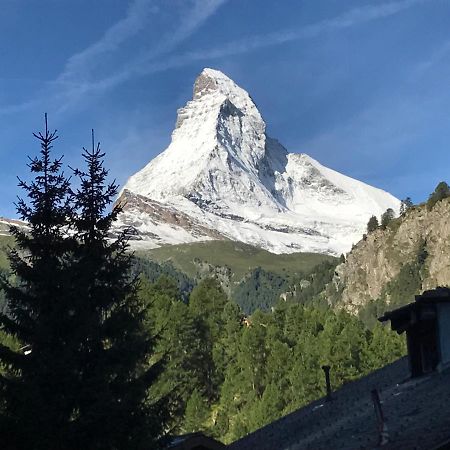 체르마트 Haus Floralp 아파트 외부 사진