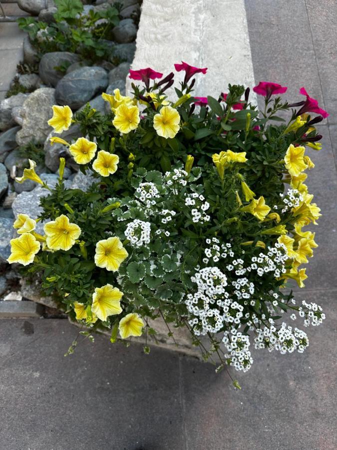 체르마트 Haus Floralp 아파트 외부 사진