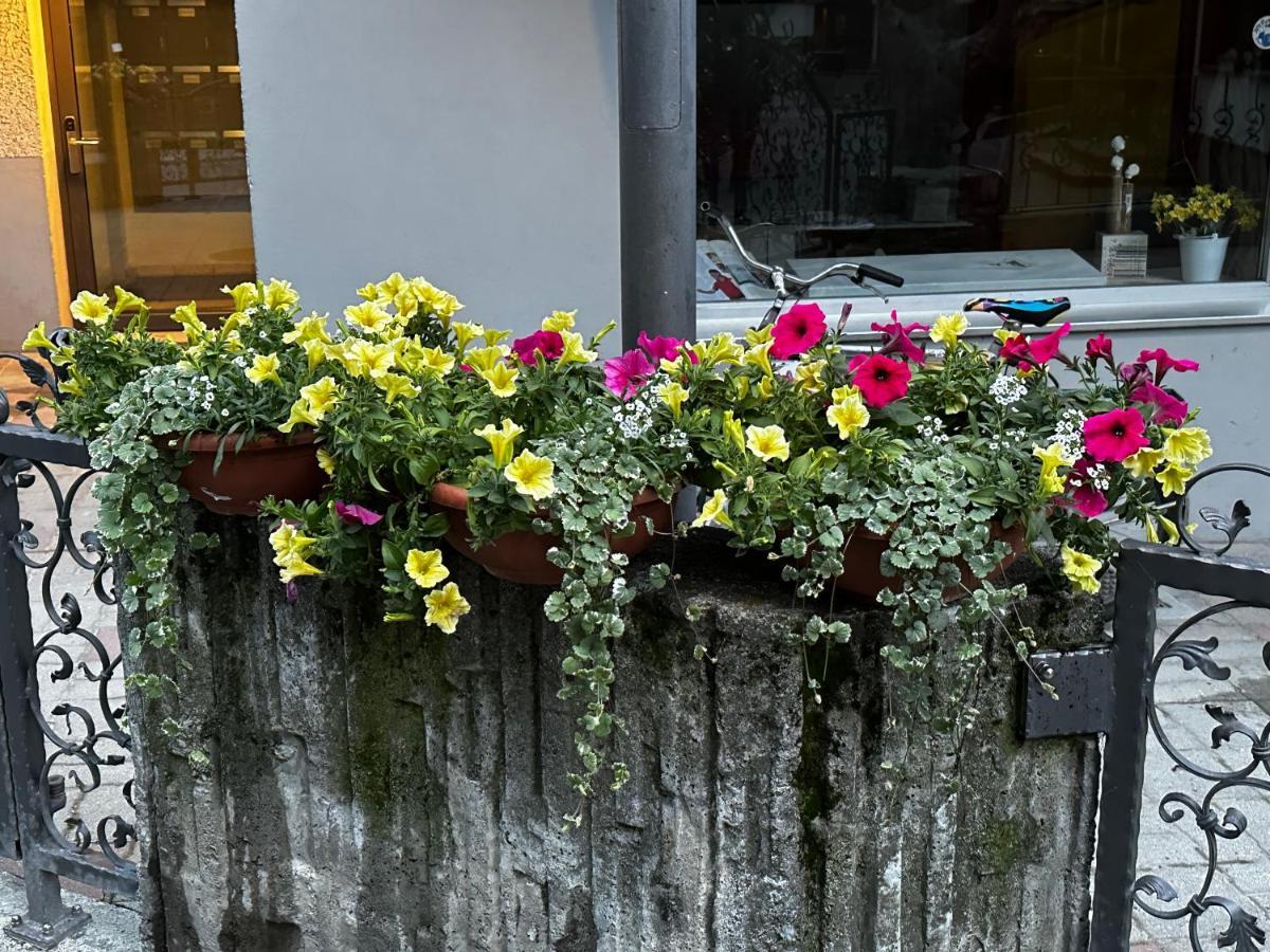 체르마트 Haus Floralp 아파트 외부 사진